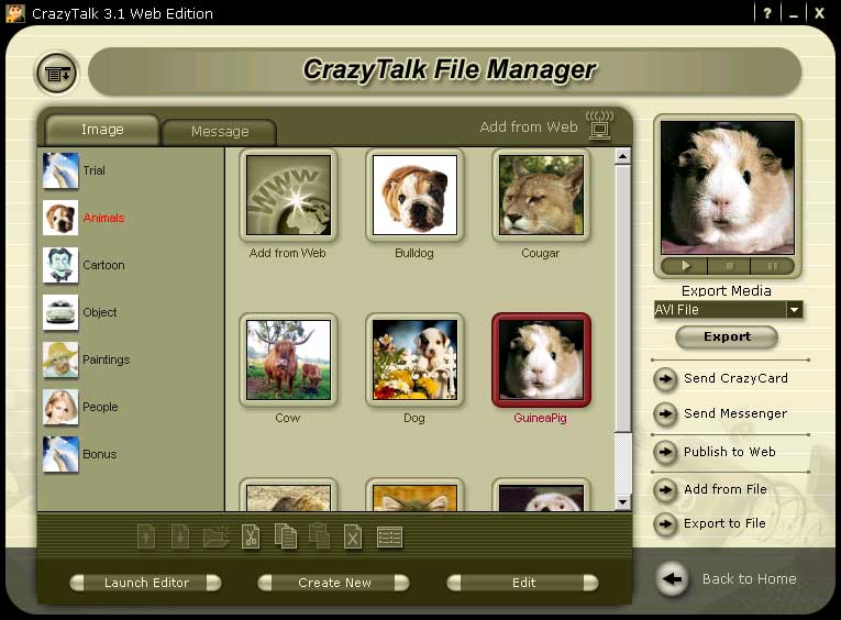 Screenshot of CrazyTalk Web Edition